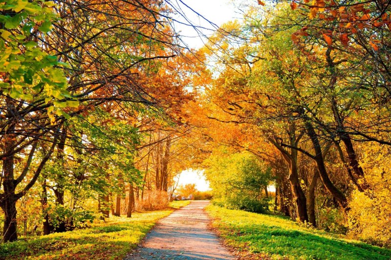 Природа осень