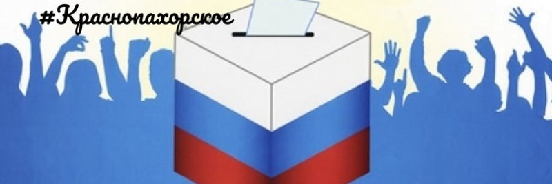 Голосование без фона