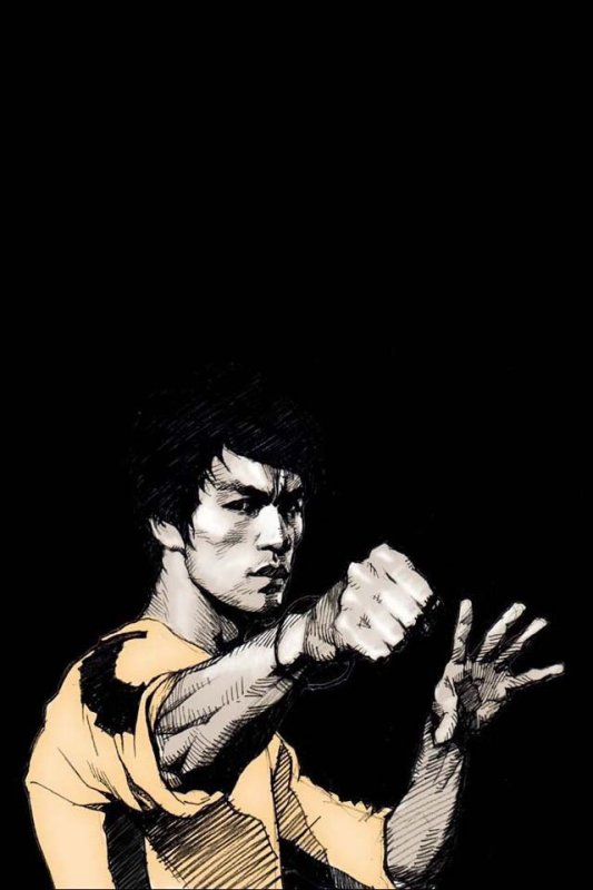 Брюс ли вектор