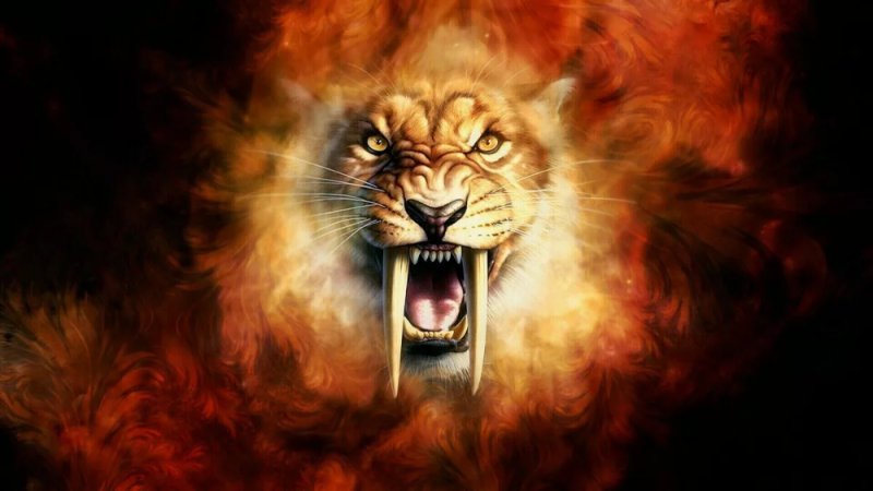 Оскал тигра