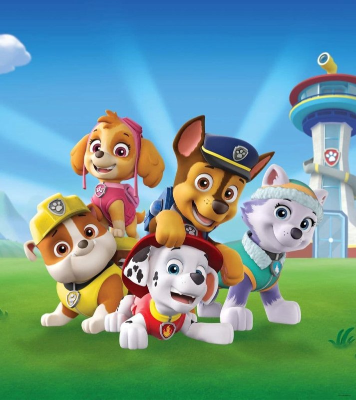 Paw Patrol Щенячий патруль
