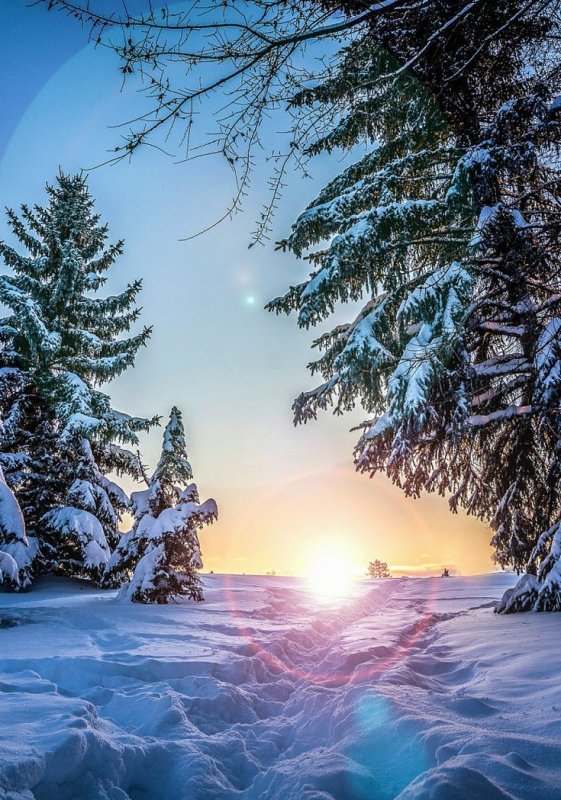 Зимний пейзаж