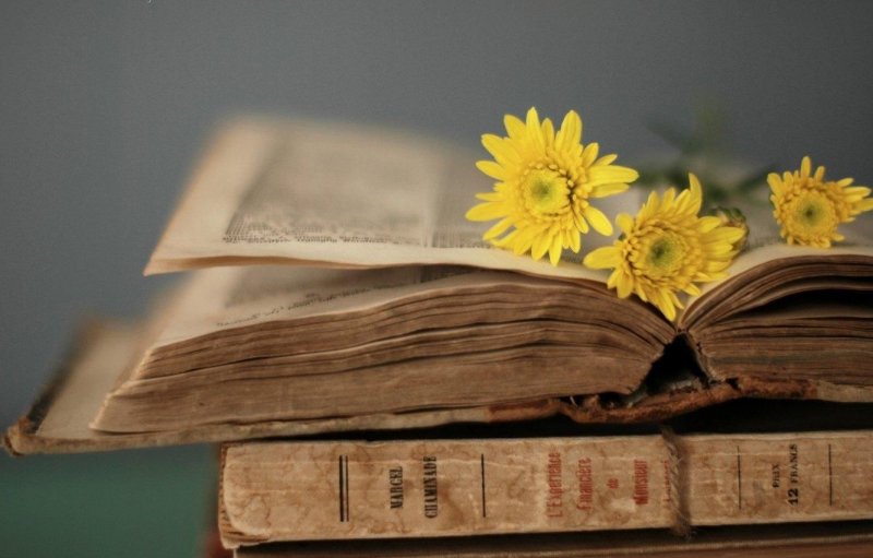 Красивый фон с книгами