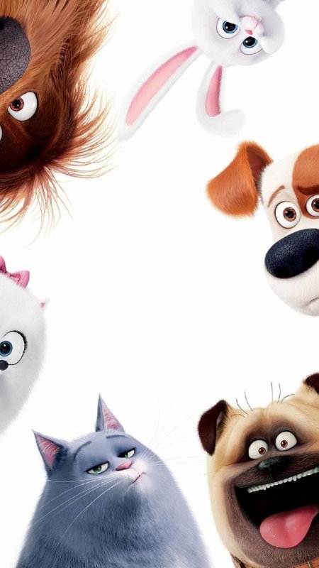 Прикольные персонажи