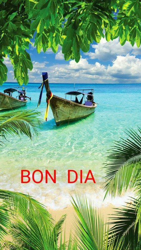 Тропическое море