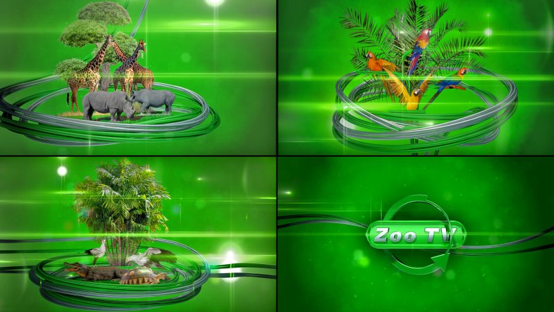 Телевиденье ТВЧ