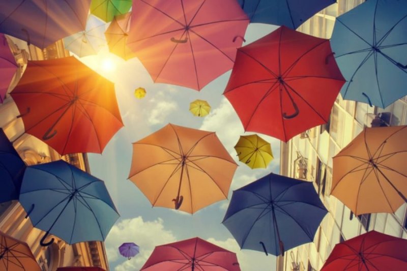 Зонтики яркие