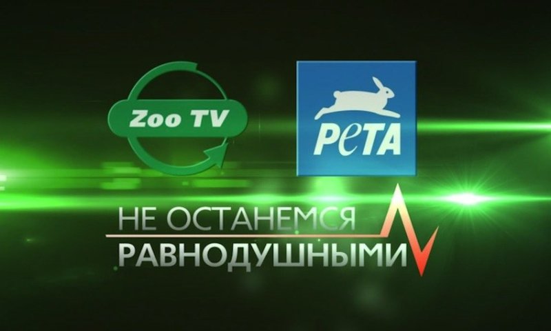 Канал зоо ТВ