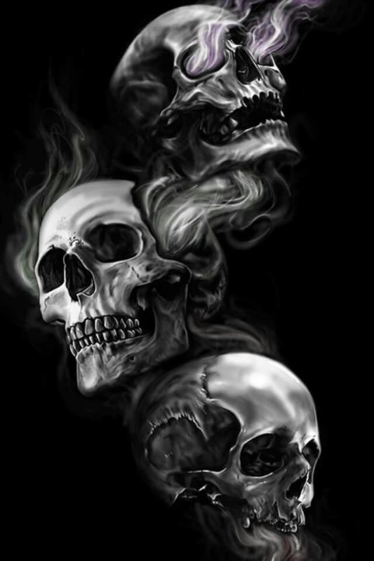 Череп на черном фоне