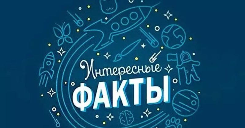 Интересные факты надпись