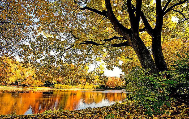 Природа осенью