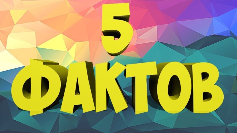 Топ 5 интересных фактов