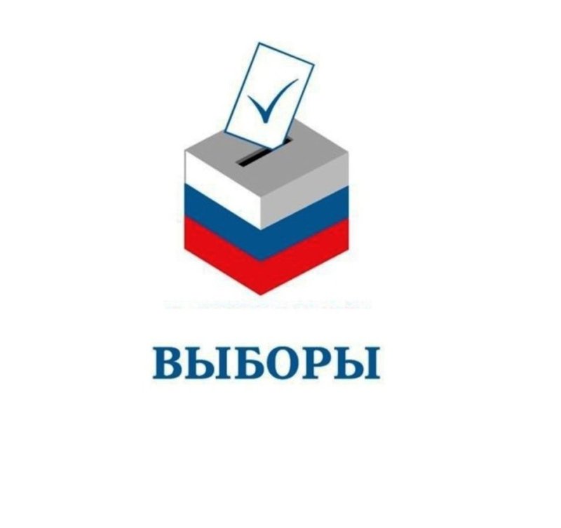 Выборы логотип