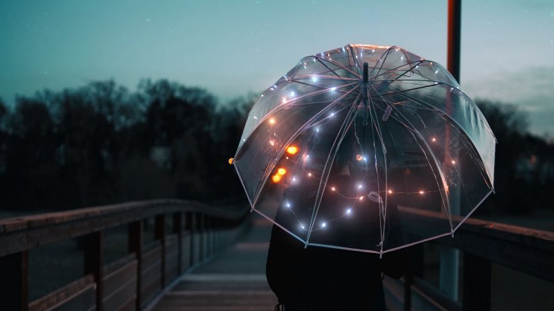 Зонт прозрачный красивый