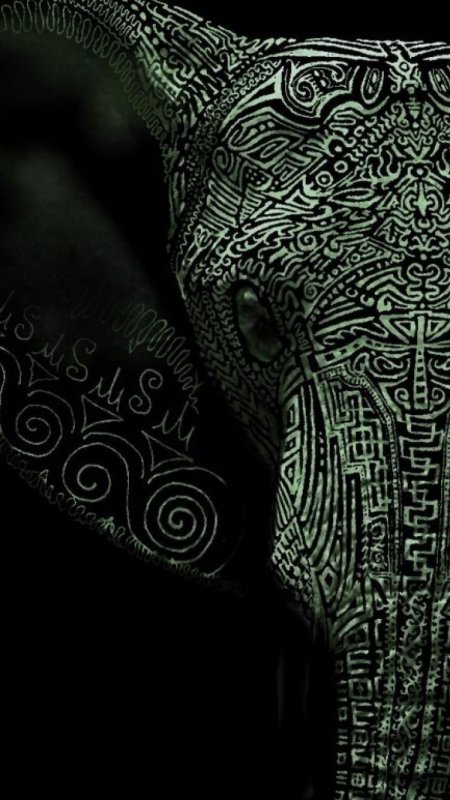 Слон обои на телефон