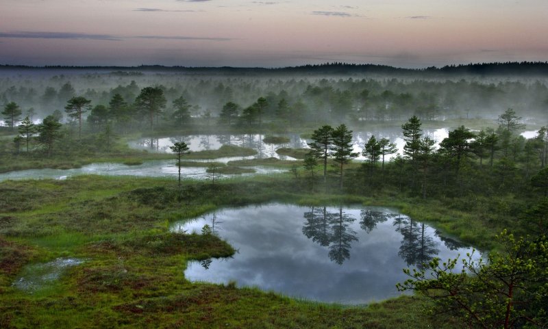 Эстония Лесные озера