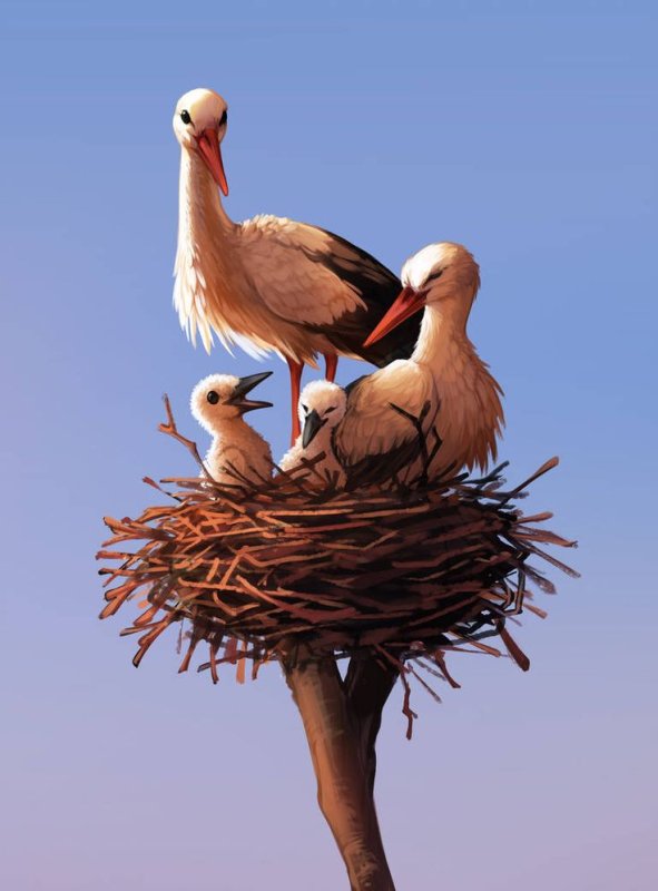 Гнездо аистов