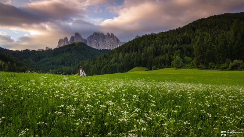 Альпийские Луга национального парка Олимпик