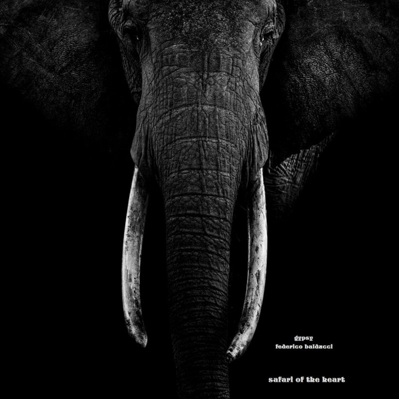 Черный слон