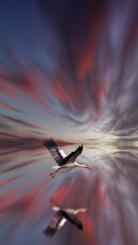 Птицы улетают