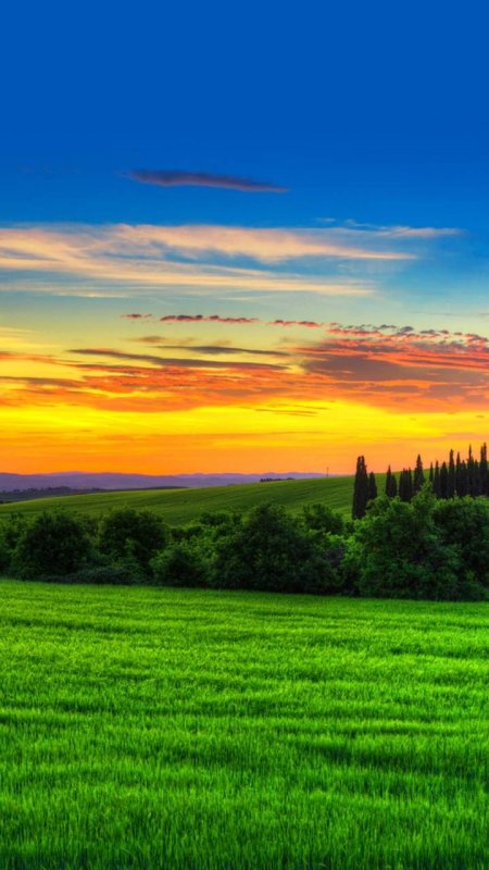 Красивая яркая природа