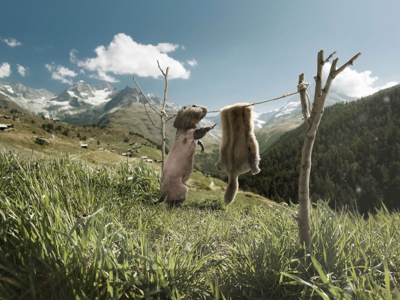 Заставка на рабочий стол прикольные