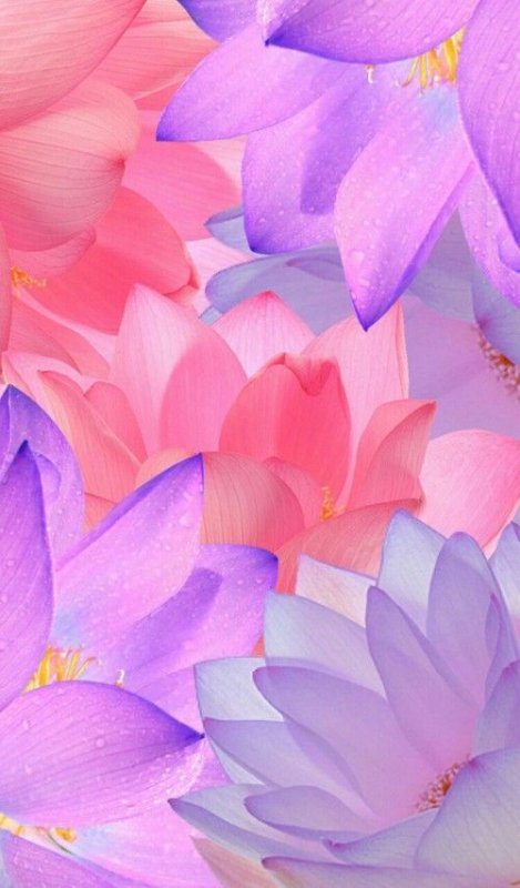 Фон на телефон красивые