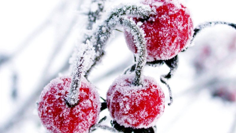 Зимние обои