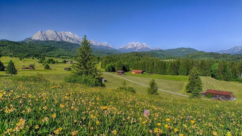 Швеция Альпийские Луга