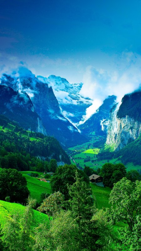 Обои на телефон природа