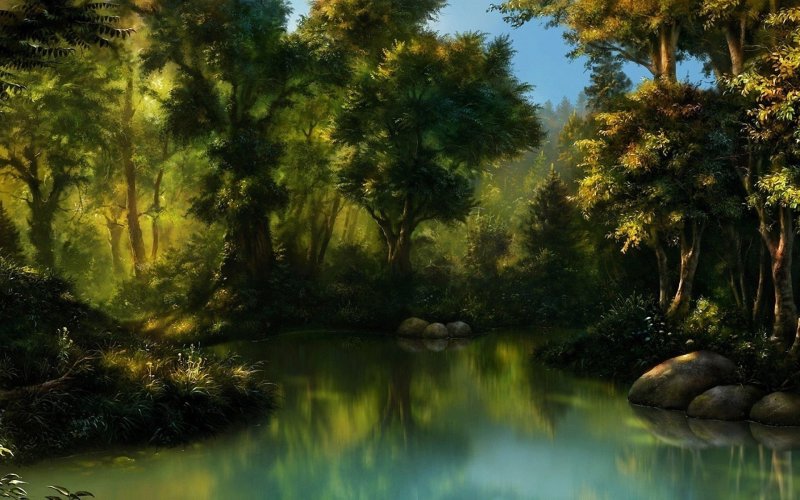 Сказочные пейзажи леса