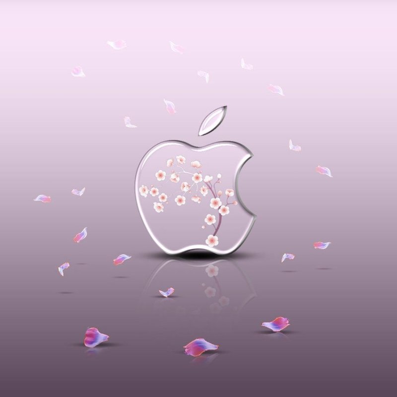 Красивые заставки для Айпада