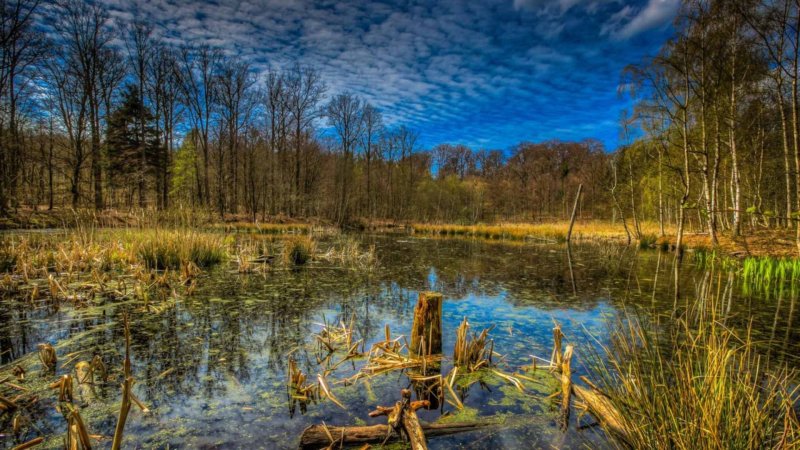 Болото Юпяужшуо Карелия