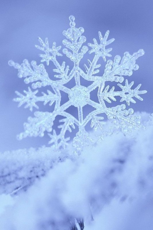 Снежинки в природе