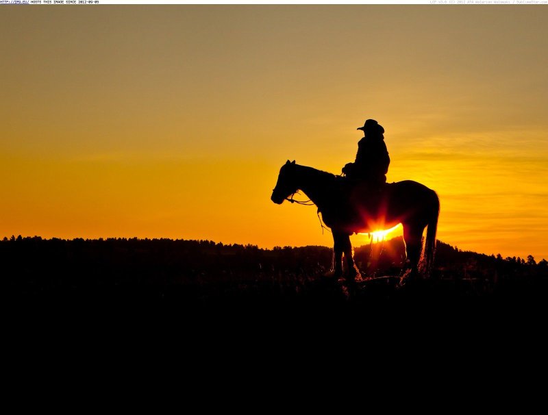 Всадник на фоне заката