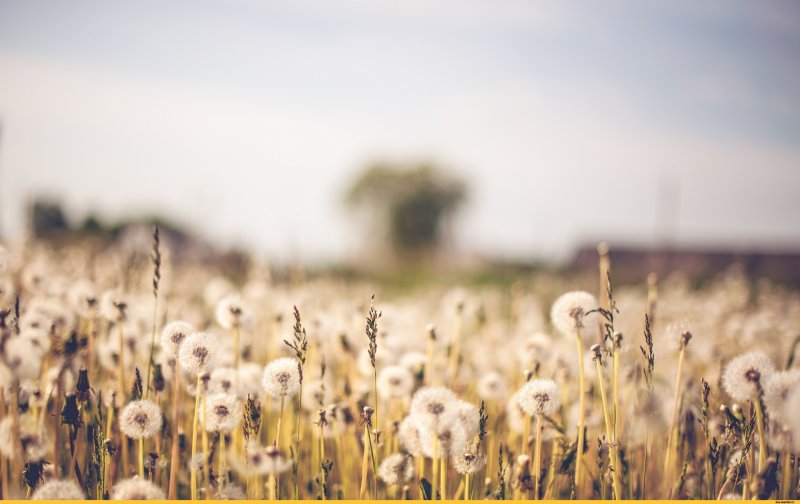 Пейзаж в пастельных тонах