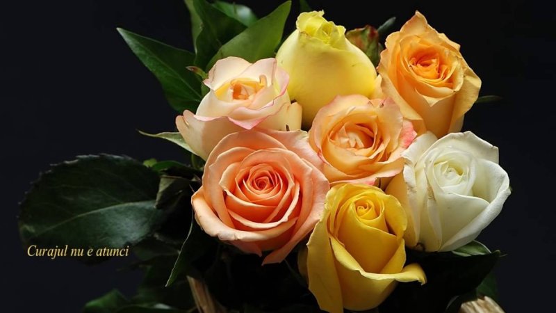 Цветы розы букет