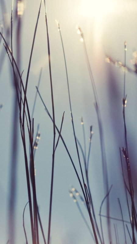 Весна Эстетика