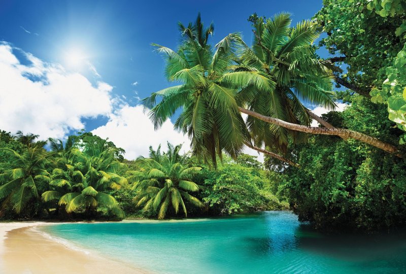 Тропический пейзаж