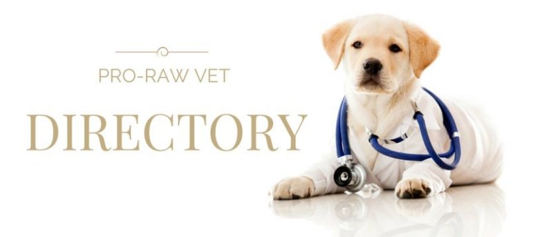 Ветеринарная клиника фон