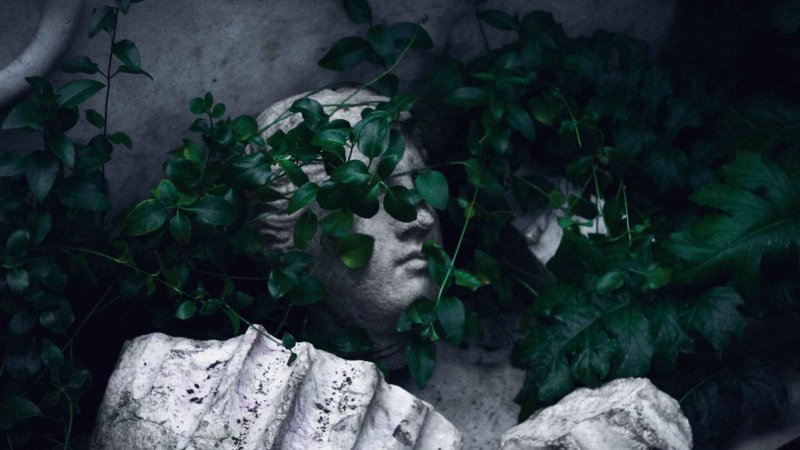 Мистические растения