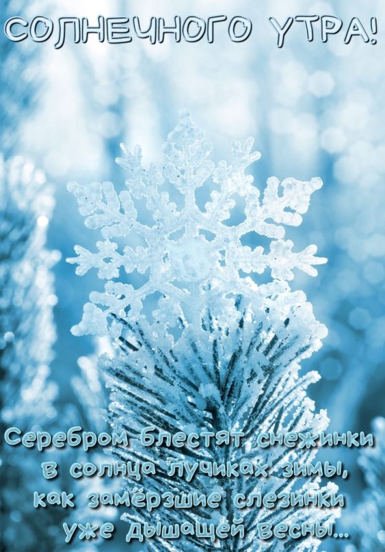 Зима снежинки