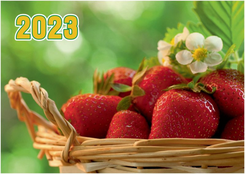 Клубника Строуберри