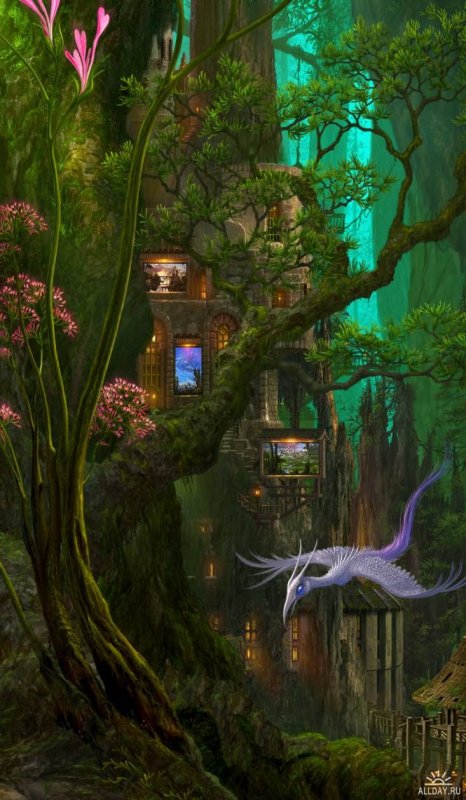 Сказочные леса