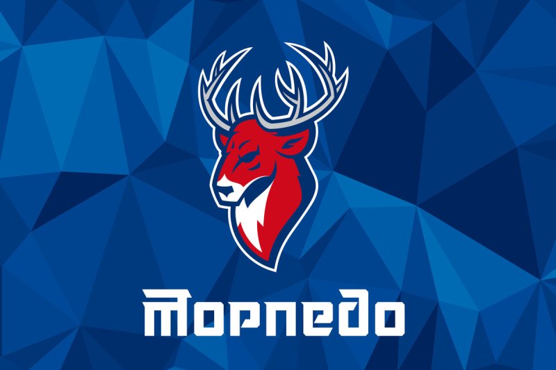 Логотип Торпедо Нижний Новгород хоккей