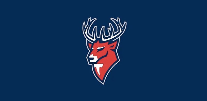 Торпедо Нижний Новгород хоккей