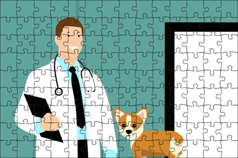 Картина ветеринар