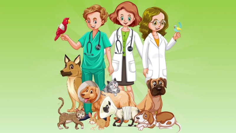 Ветеринар для детей