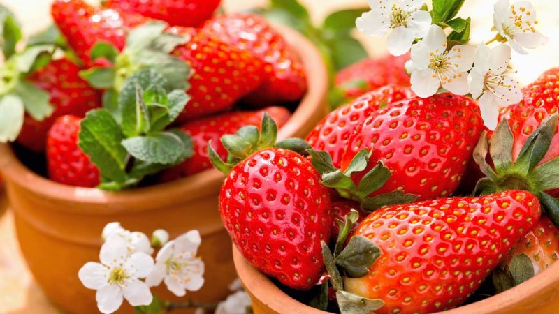 Сочная клубника