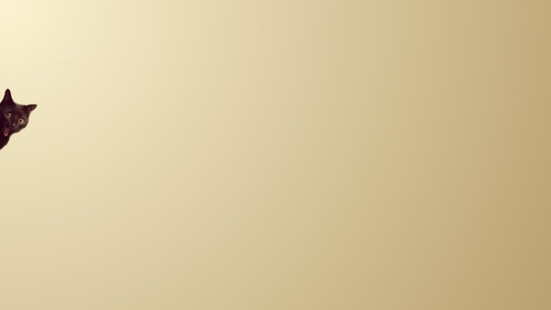 Фон для презентации кошки